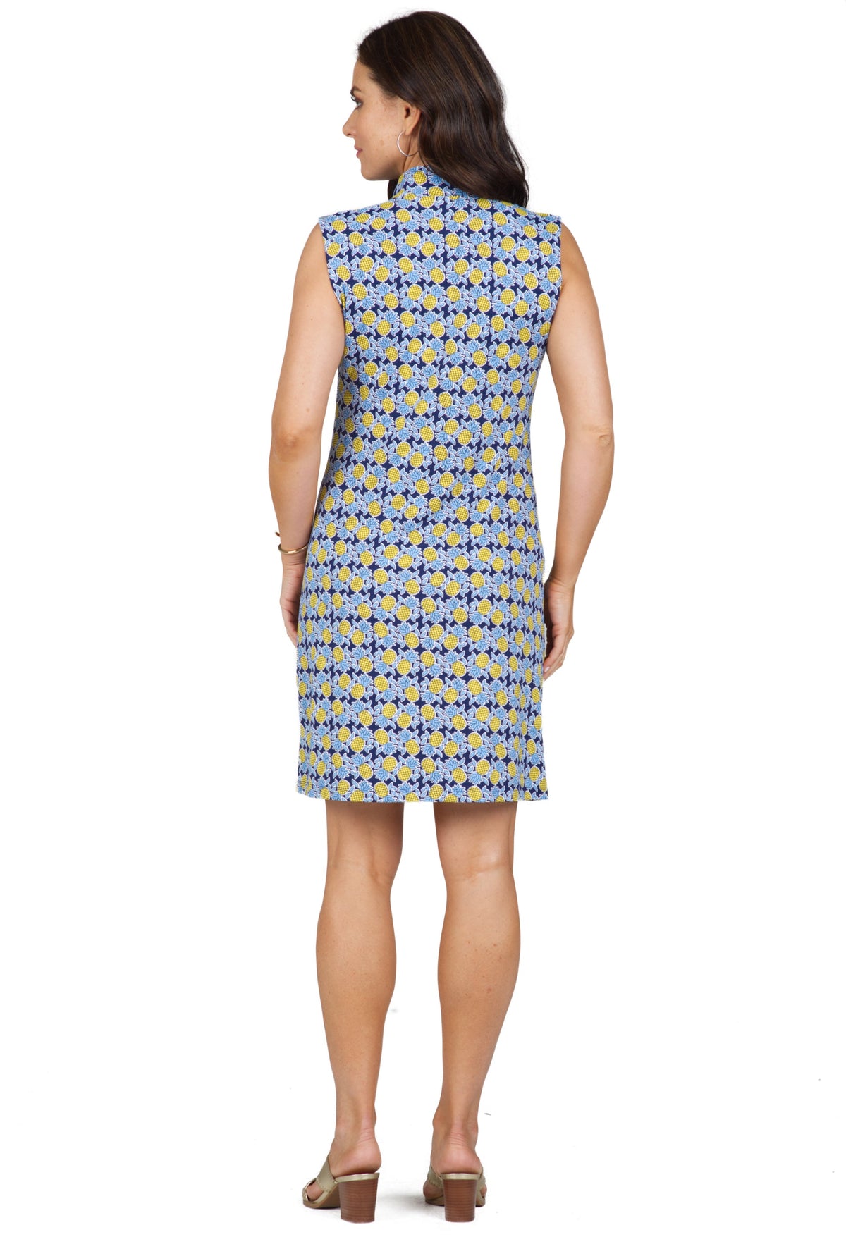 Chantal Print Sleeveless Mock Dress – 58540
